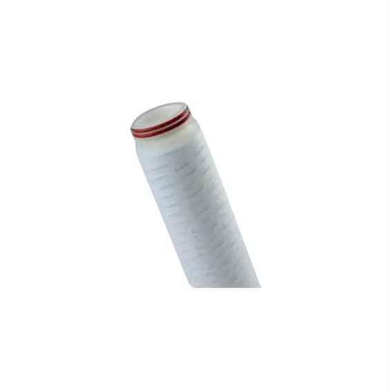 Filtros de cartucho esterilizable de PVDF
Código DLHPVNDR-2222-HSC-05-S-P