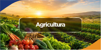 agricultura01