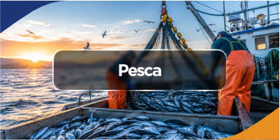 pesca01
